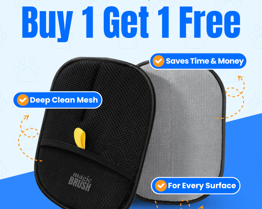 The Magic Brush™ - Buy 1 Get 1 Free