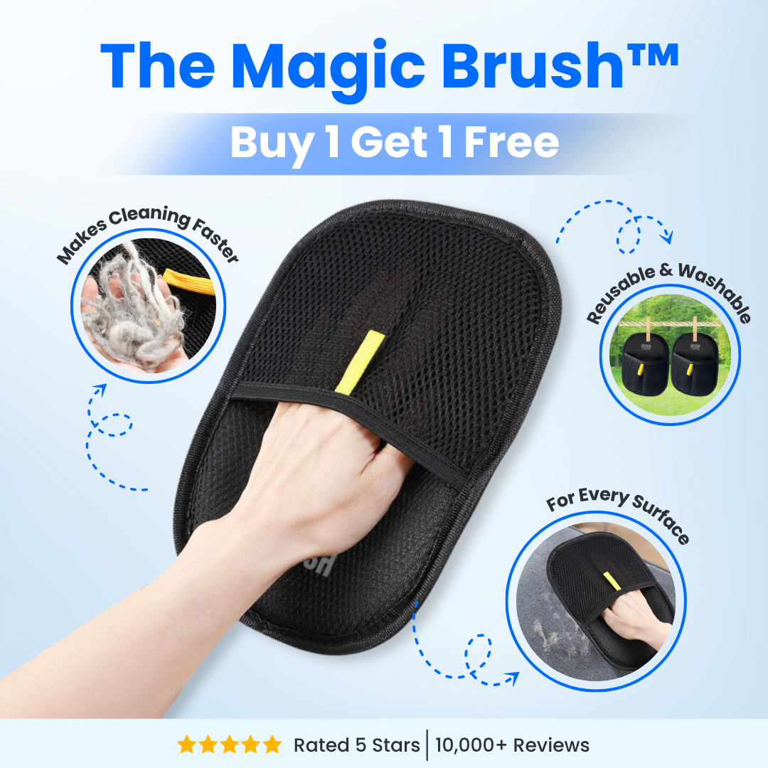 The Magic Brush™ - Buy 1 Get 1 Free